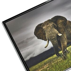 Dibond Glossy Black - 4 cm hoog - Paneellijst , 60x80cm