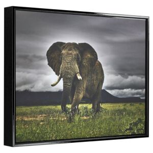 Dibond Glossy Black - 4 cm hoog - Paneellijst , 60x80cm